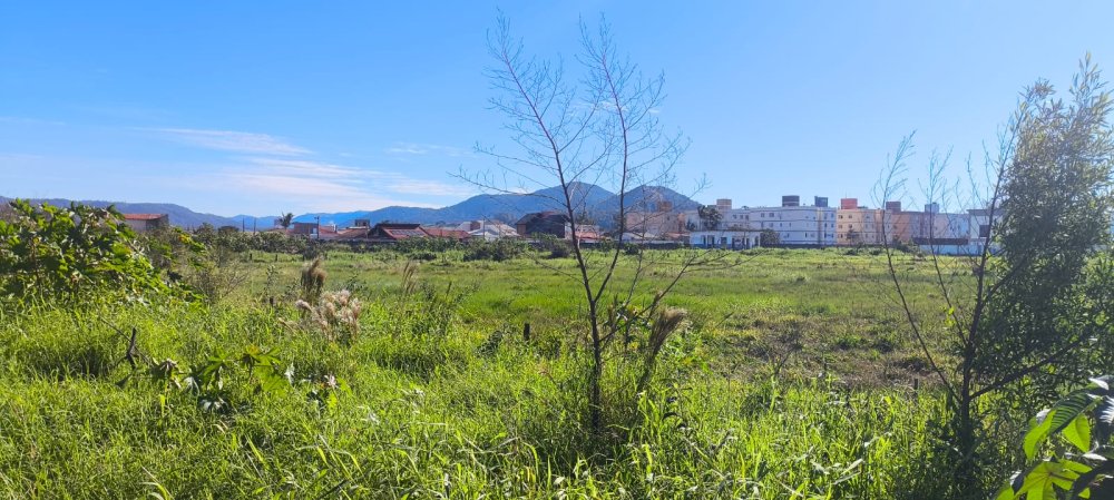 Lote - Venda - Santo Antnio de Pdua - Tubaro - SC