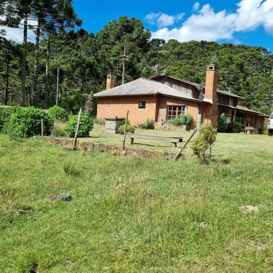 Fazenda - Venda - Cruzeiro - So Joaquim - SC